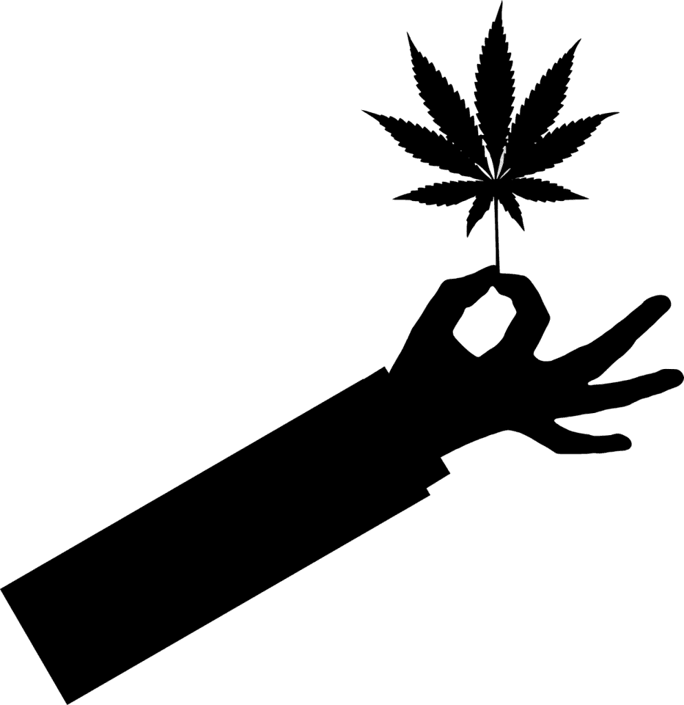 עלה של גראס