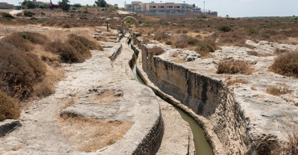 חופשת סופ״ש זריזה מהכרמל: 7 יעדים קרובים שיוצאים מחיפה + טיפים לאריזה חכמה למשפחות