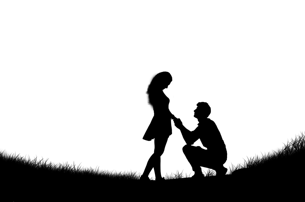 הצעה