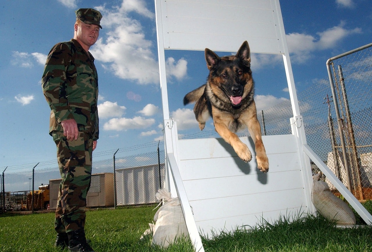 אימון אישי