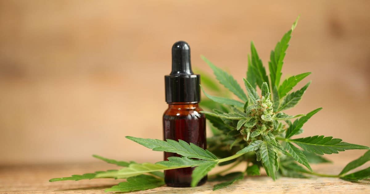 איך שמן CBD יכול לטפל בחרדה